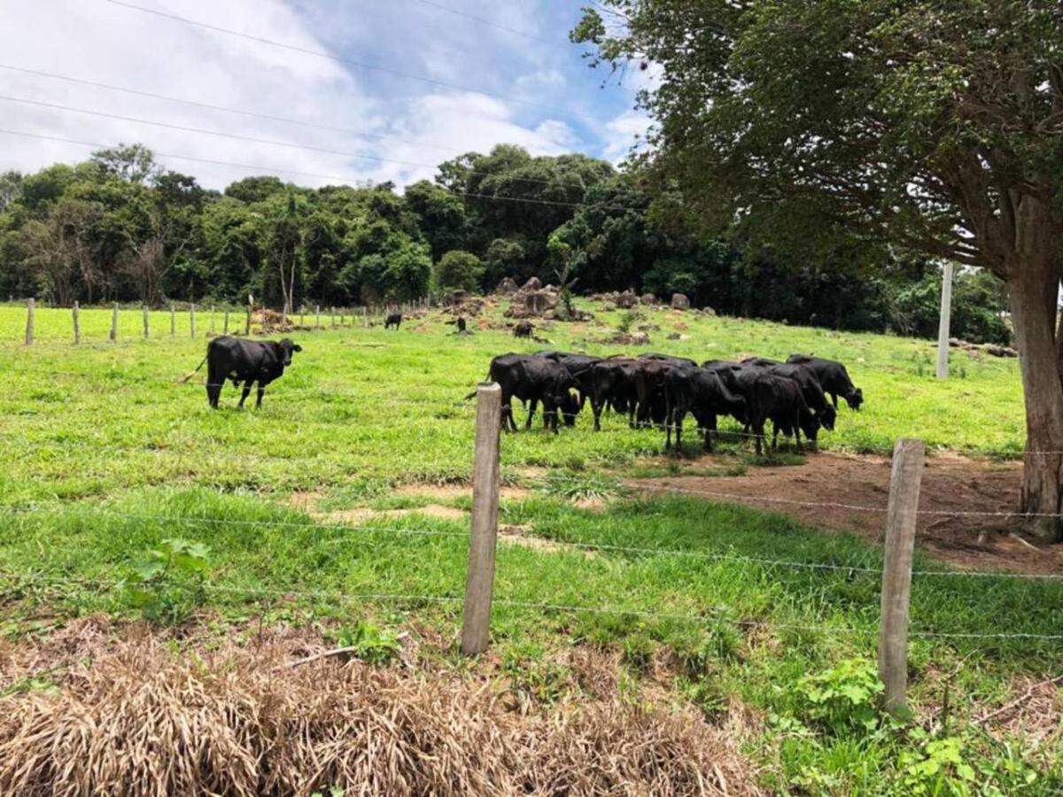 Sítio no interior de SP para curtir a Natureza Águas da Prata Exterior foto
