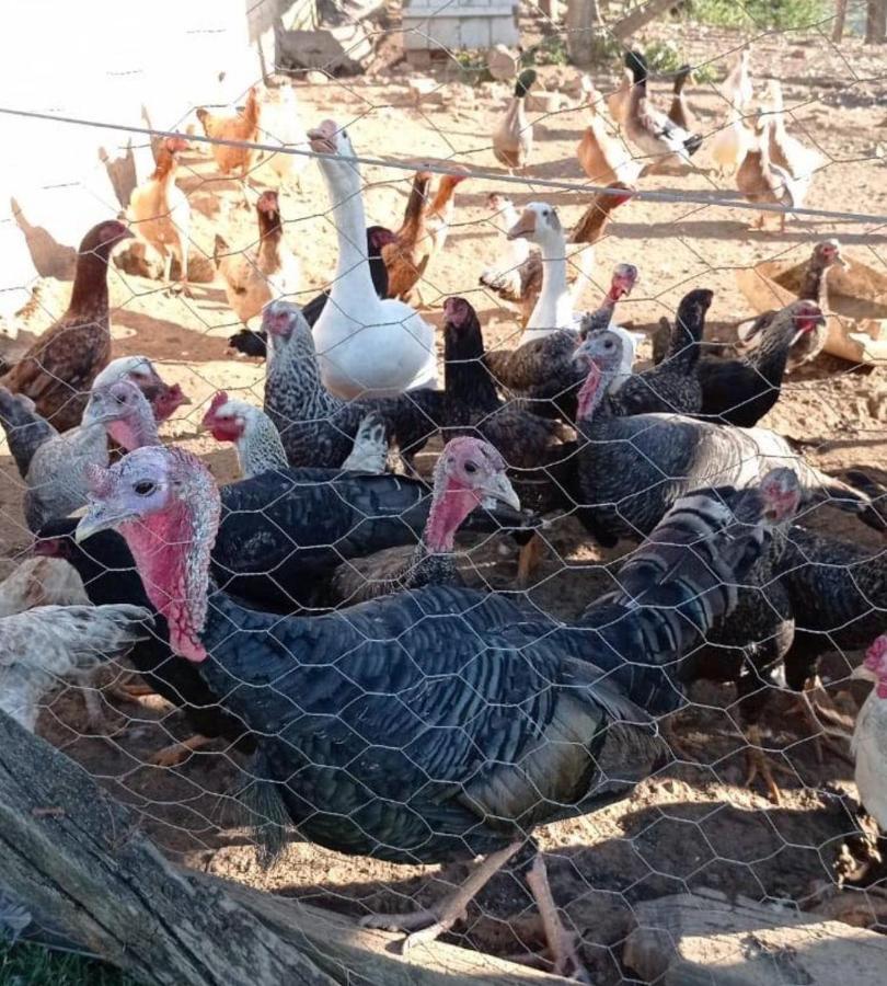 Sítio no interior de SP para curtir a Natureza Águas da Prata Exterior foto
