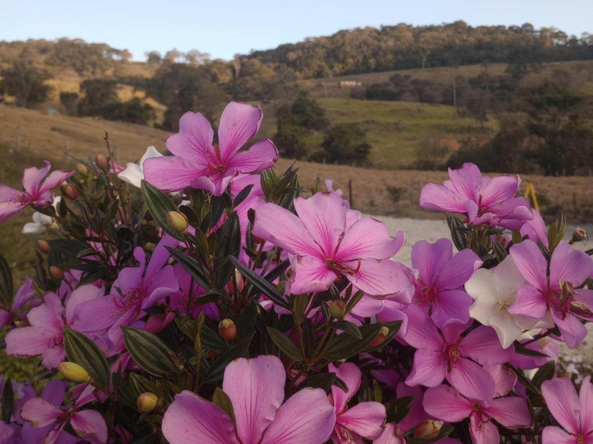 Sítio no interior de SP para curtir a Natureza Águas da Prata Exterior foto